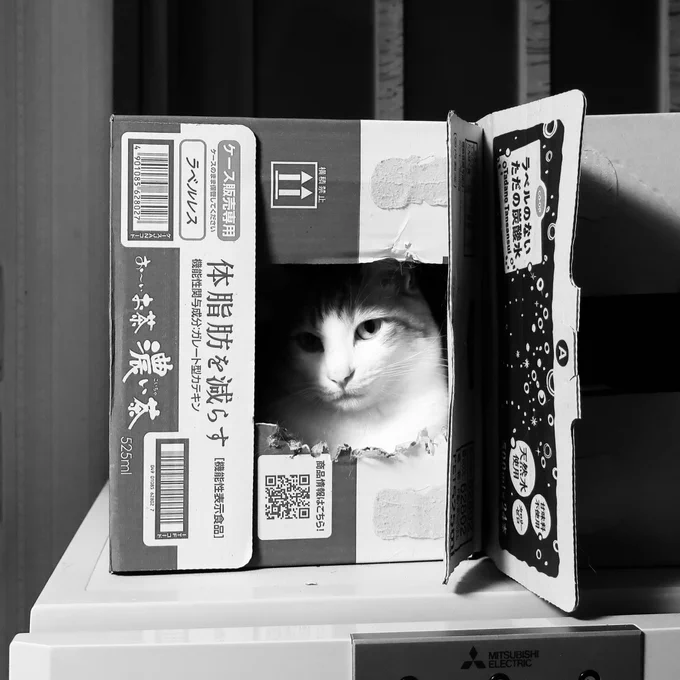 オレの寝床だよ 