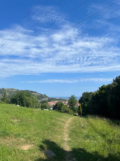 DavidsonWSoc's tweet photo. Wednesday thoughts from junior Riley Patton, “I am grateful for the opportunity to study abroad during the summer before getting back to work in August. The workout packet isn’t so bad when I get to run alongside the beaches and mountains of Spain!” #unity #gratitude #excellence https://t.co/PGydo1ntc4