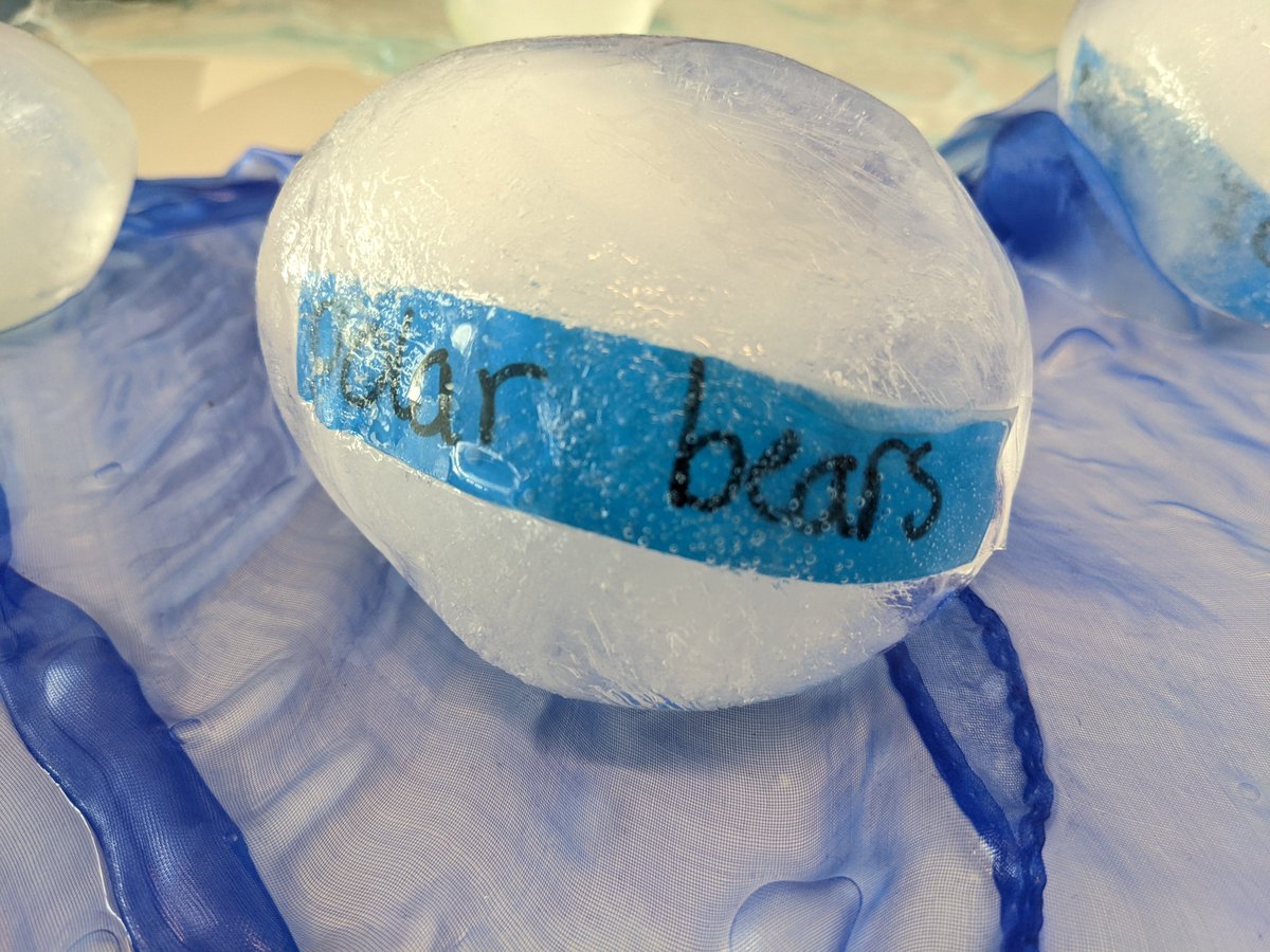 Year 5's ice sculptures inspired by Hung Yi-Chen, Guo Yi-hui and Cheng Yu-ti, 3 art students in Taiwan wanting to emphasise the impact of climate change #STEAM #ClimateAction #Sustainability