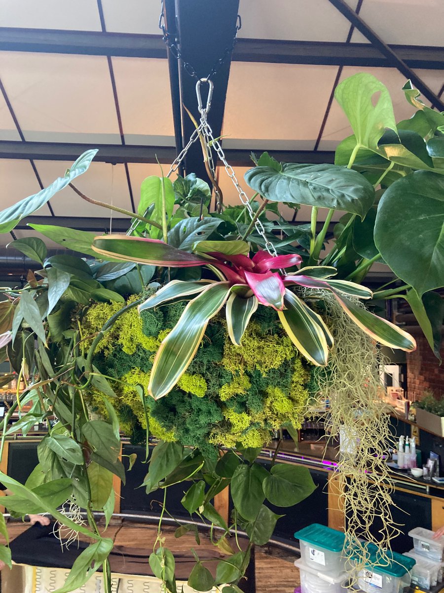 clarered tweet media