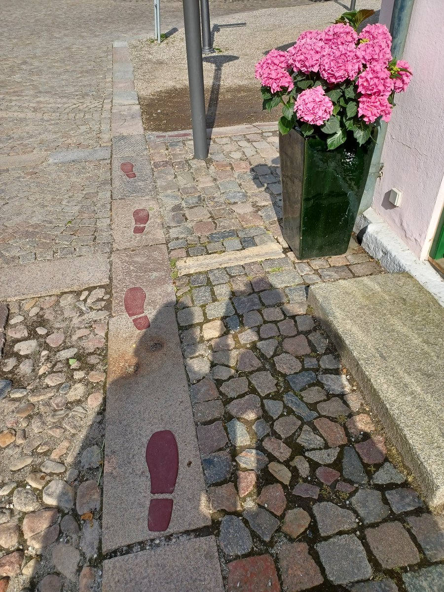 RautiainenLaura's tweet photo. Happy to be at #Odense! We will be presenting at the #26NKG: #Changeandcontinuity tomorrow with fantastic @RecetasProject team. By working together we can alleviate #loneliness by #naturebasedsocialprescribing. @VTKL10 @JanssonAnu https://t.co/zFavYIfWyw