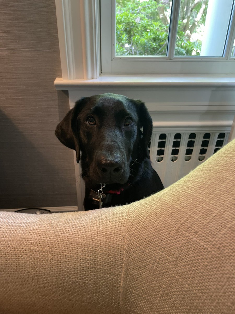 Drew Armstrong tweet media