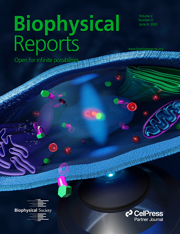 Alexey Chizhik (@chizhikalexey) on Twitter photo It was a great pleasure to make this cover for Silvia Galiani, Katharina Reglinski, <a href="/carravilla_p/">Pablo Carravilla</a>, <a href="/aurel_barbotin/">Aurélien Barbotin</a>, <a href="/uiztok/">Iztok Urbančič</a>, <a href="/Sciezgin/">Erdinc Sezgin</a>, <a href="/faldalf/">Falk Schneider</a>,<a href="/dwaithe/">Dr Dominic Waithe</a>,and <a href="/AgEggeling/">Eggeling Lab</a> to their new article in <a href="/BiophysReports/">Biophysical Reports</a>! I would like to thank Silvia and Katharina for the great cooperation! It was a great pleasure to make this cover for Silvia Galiani, Katharina Reglinski, <a href="/carravilla_p/">Pablo Carravilla</a>, <a href="/aurel_barbotin/">Aurélien Barbotin</a>, <a href="/uiztok/">Iztok Urbančič</a>, <a href="/Sciezgin/">Erdinc Sezgin</a>, <a href="/faldalf/">Falk Schneider</a>,<a href="/dwaithe/">Dr Dominic Waithe</a>,and <a href="/AgEggeling/">Eggeling Lab</a> to their new article in <a href="/BiophysReports/">Biophysical Reports</a>! I would like to thank Silvia and Katharina for the great cooperation!