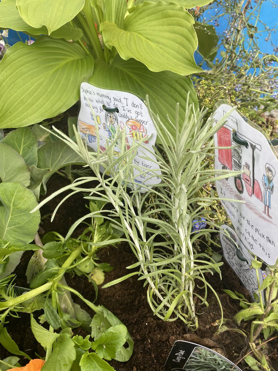 St Anthony's Primary (@stanthonyssaps) on Twitter photo Voting is open for the Pocket Garden Design, please vote for our school’s entry at surveymonkey.co.uk/r/6HM2PGM and visit keepscotlandbeautiful.org/pocket-garden-… to read all about our garden. 🪴 <a href="/KSBScotland/">Keep Scotland Beautiful</a> Voting is open for the Pocket Garden Design, please vote for our school’s entry at surveymonkey.co.uk/r/6HM2PGM and visit keepscotlandbeautiful.org/pocket-garden-… to read all about our garden. 🪴 <a href="/KSBScotland/">Keep Scotland Beautiful</a>