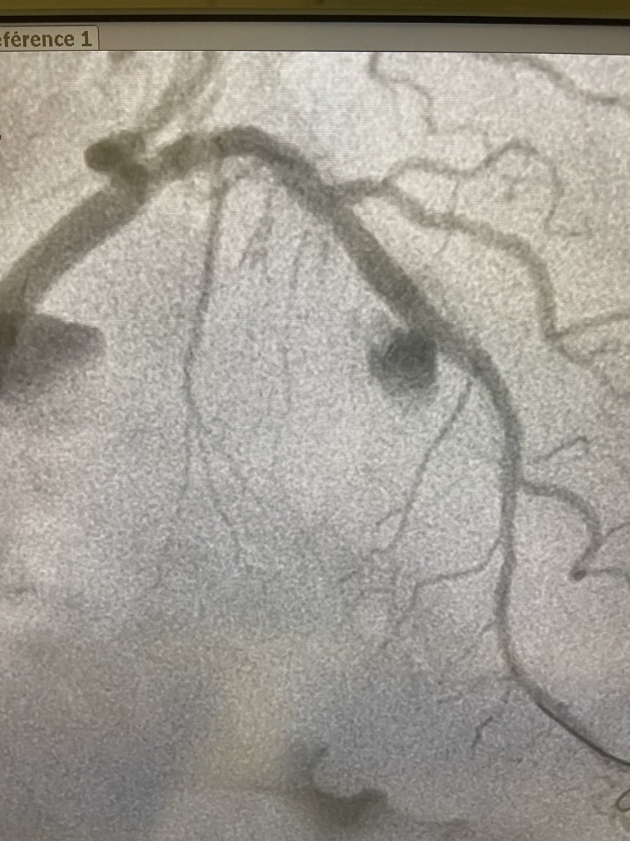 DrThomasCuisset tweet media