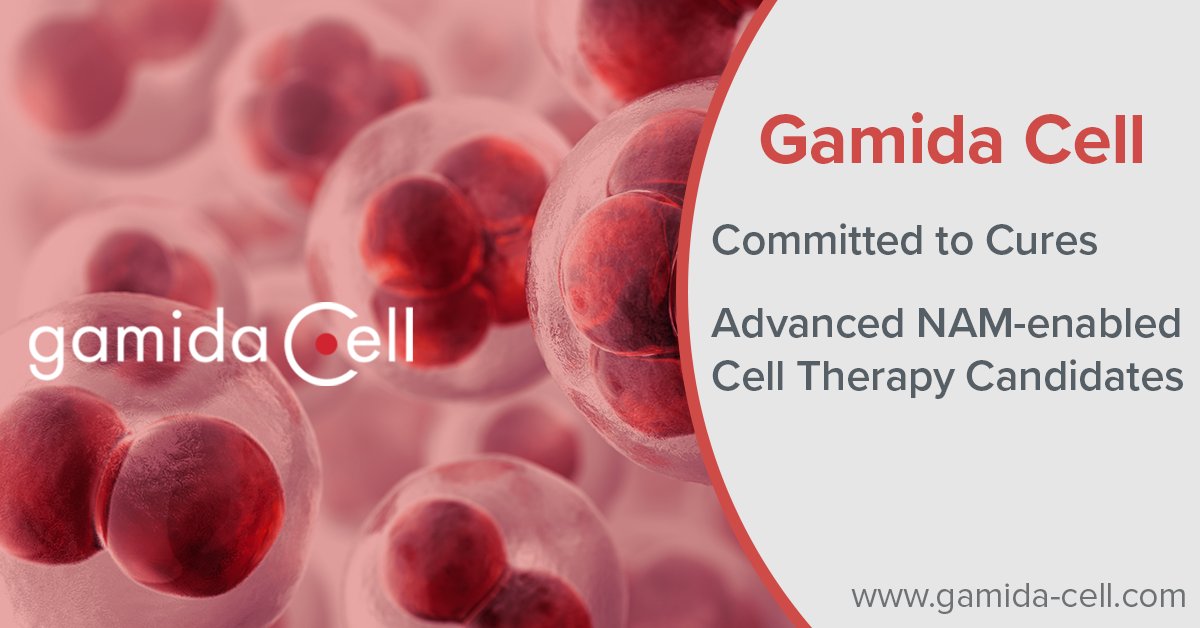 GamidaCellTx's tweet photo. #ASCO2022 inspires all of us to do more. Gamida Cell is advancing a unique curative approach with #NAMenabled cell therapy candidates as a potential new treatment for patients with hematologic and solid tumor cancers. https://t.co/dAmSq1l24z
#StemCellTherapy
#NKCellTherapy https://t.co/E9Zg2Z8soh