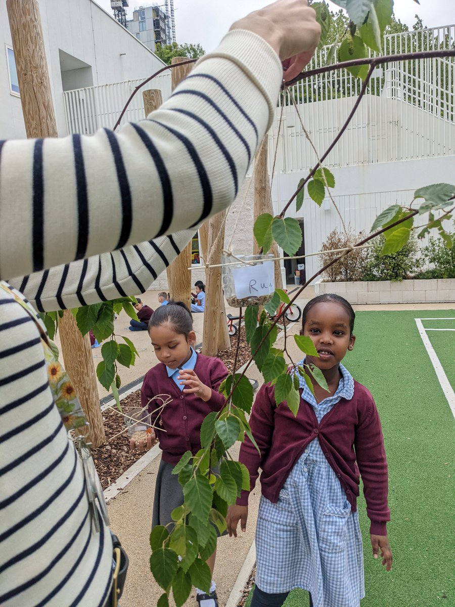 Year 1 designed and created bird feeders for our playground! #STEAM #Sustainability #lifeonland