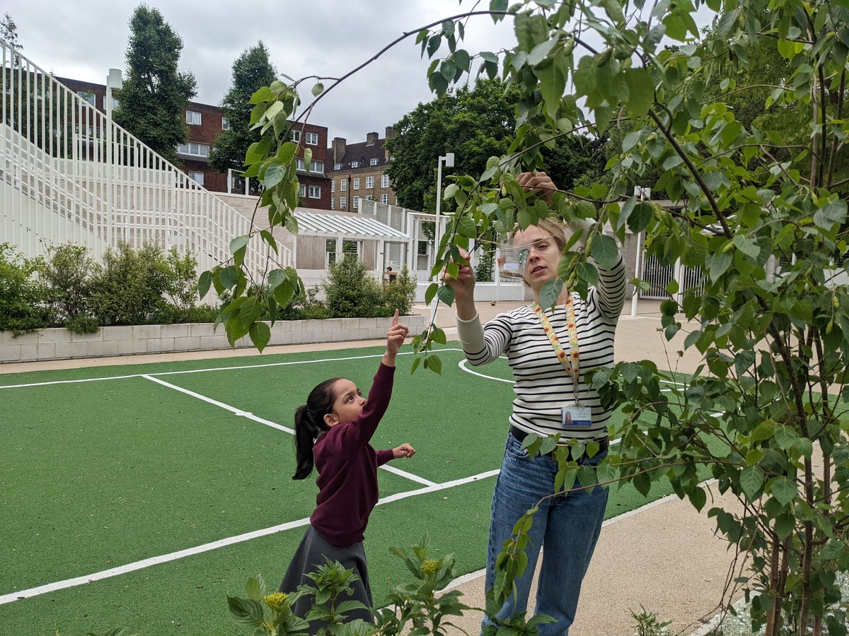 Edith Neville Primary School tweet media