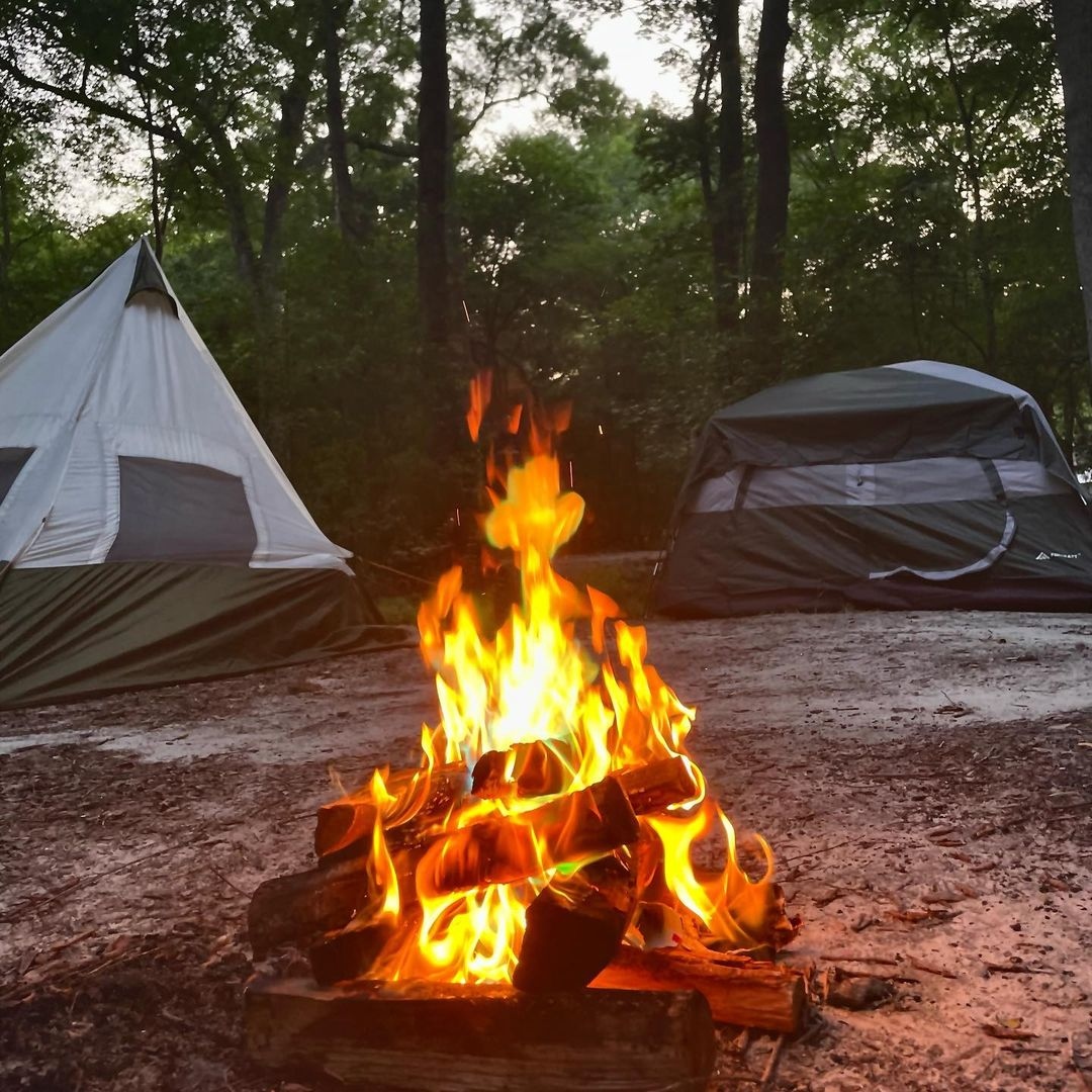 VisitLakeCityFL's tweet photo. Give your camping experience a glow up with a stay at Ginnie Springs. 🏕Tent sites are scattered throughout 200 wooded acres and include many river-front and spring sites. Most sites also have a grill and a picnic table! 🪵🌿

📸 morenaluuuna https://t.co/e2EiyCaBxV