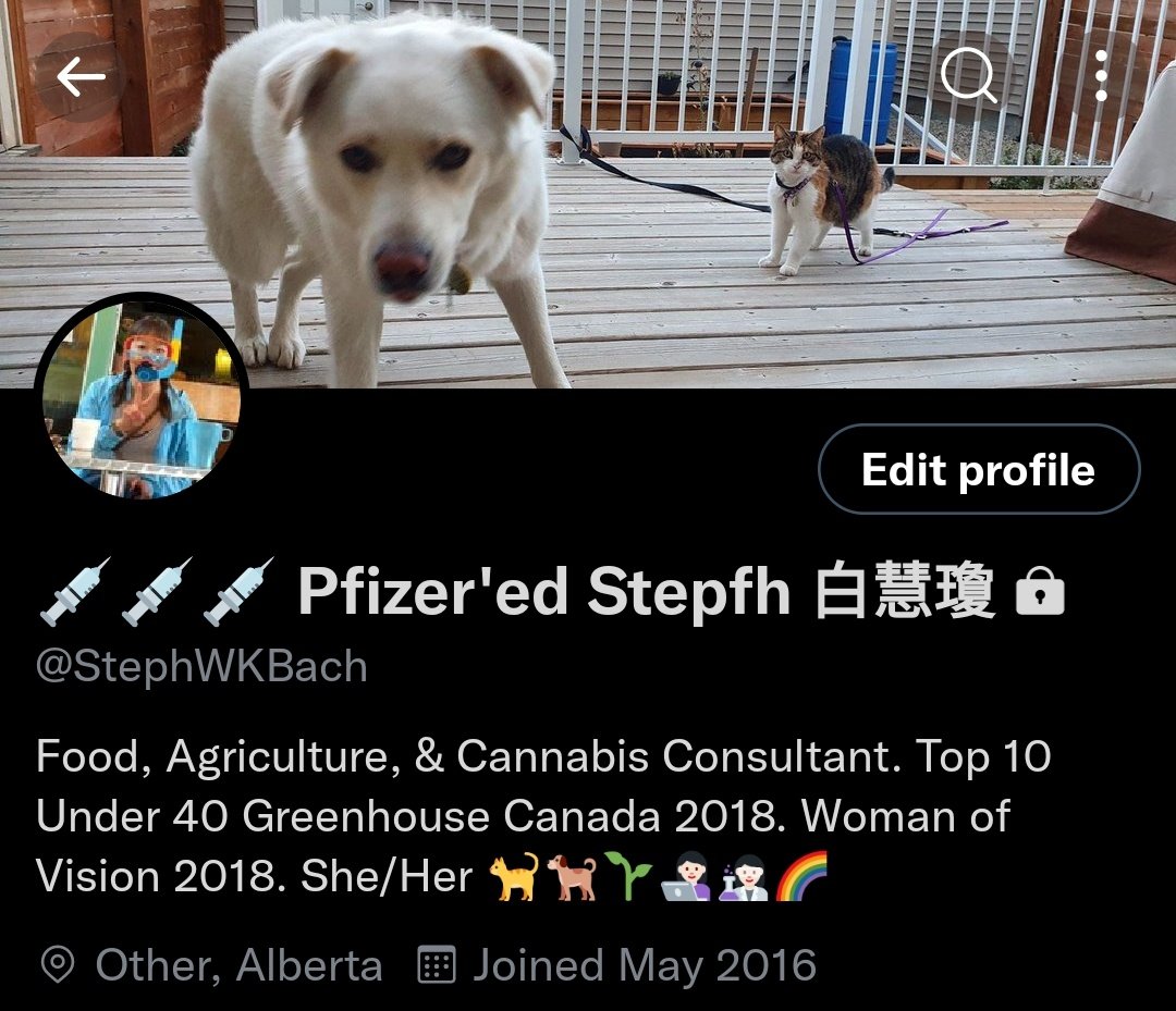 StephWKBach's tweet photo. It's possible I'm enjoying #ScubaSteph a bit too much 😂
@leafdebrief @duce_7 #NewProfilePic https://t.co/X1Vv6q7cT1