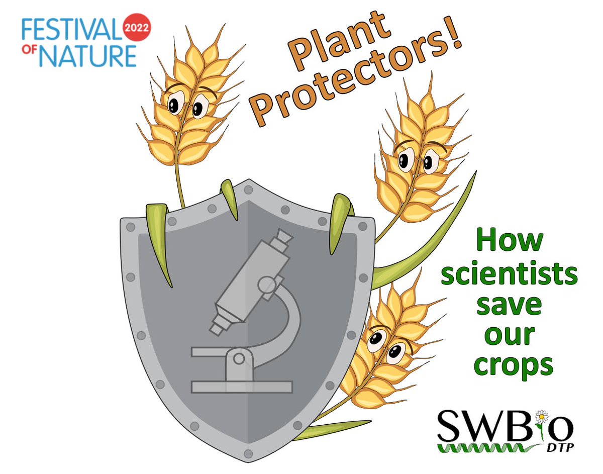 My <a href="/SWBio_DTP/">SWBio DTP</a> PhD friends are going to be at Bristol's <a href="/FestofNature/">Festival of Nature</a> Sunday 12th June 10-4 with a stall of activities on Pests, Plants &amp; Parasites 🪲🐛🌾. Here's a lil' 5 min blog + cartoon I helped make about what we're doing 1/2 bnhc.org.uk/festival-of-na…