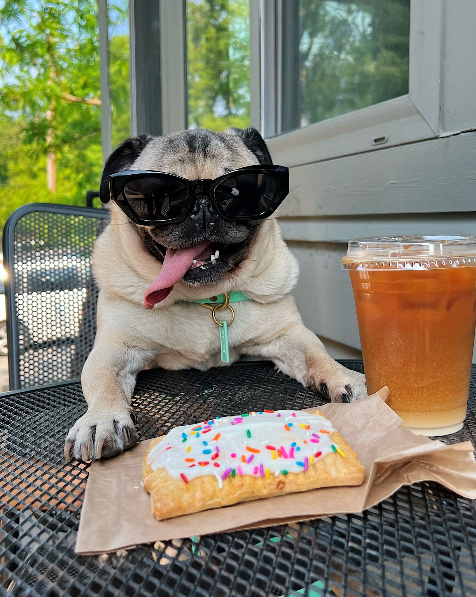 Doug The Pug on X