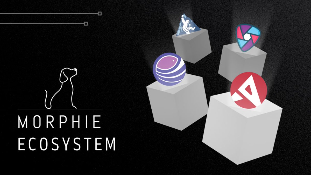 Morphie Network tweet media