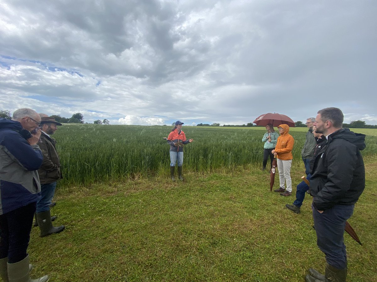 Ryan Jennings tweet media