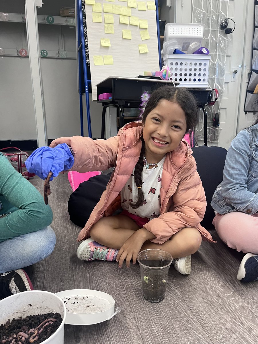 mrsgress1's tweet photo. Earthworm and pillbug day in 2nd grade! @CarrieCullen5 @lacorr_team @VS13UFSD @WheelerAvenue 🪱 #teamgress #secondgrade https://t.co/nRKKlYuFOn