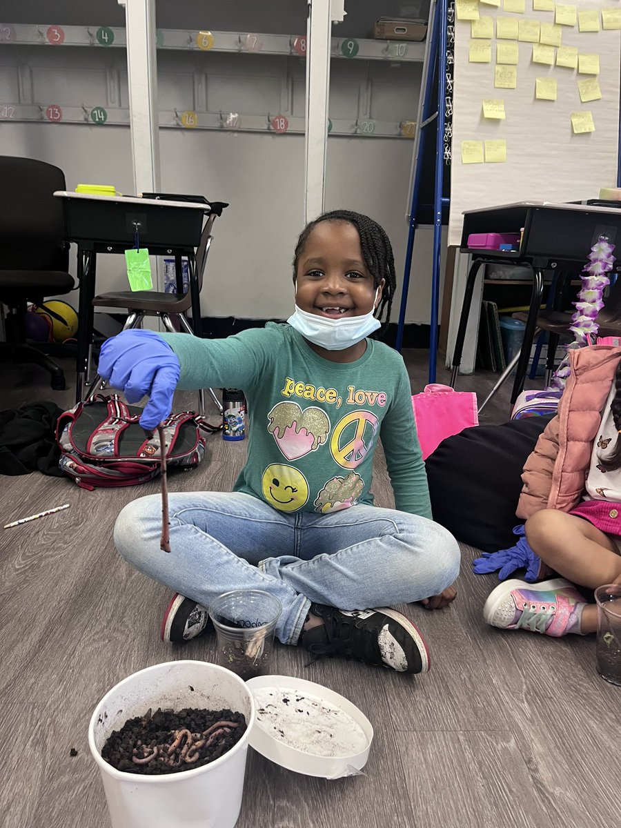 mrsgress1's tweet photo. Earthworm and pillbug day in 2nd grade! @CarrieCullen5 @lacorr_team @VS13UFSD @WheelerAvenue 🪱 #teamgress #secondgrade https://t.co/nRKKlYuFOn