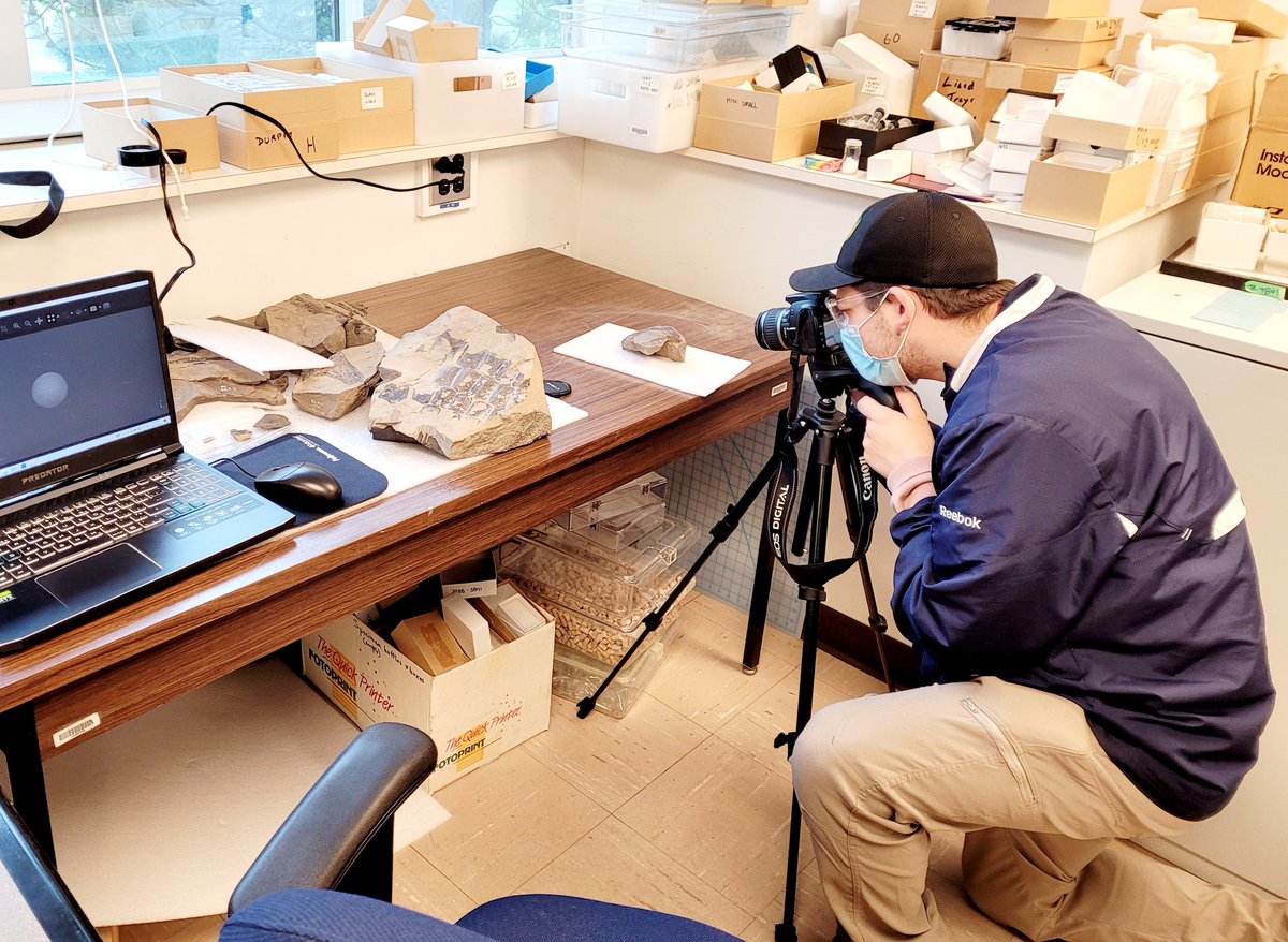 VictoriaArbour's tweet photo. For #WorldOceansDay, here's NSERC USRA student @bmcbride73 working on photogrammetry models of Triassic ichthyosaur material from Williston Lake in the @RoyalBCMuseum collections! #BCfossils https://t.co/JhzXvCFoAl