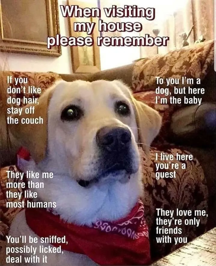 imgur's tweet image. Non-negotiable. imgur.com/gallery/odCYjzq