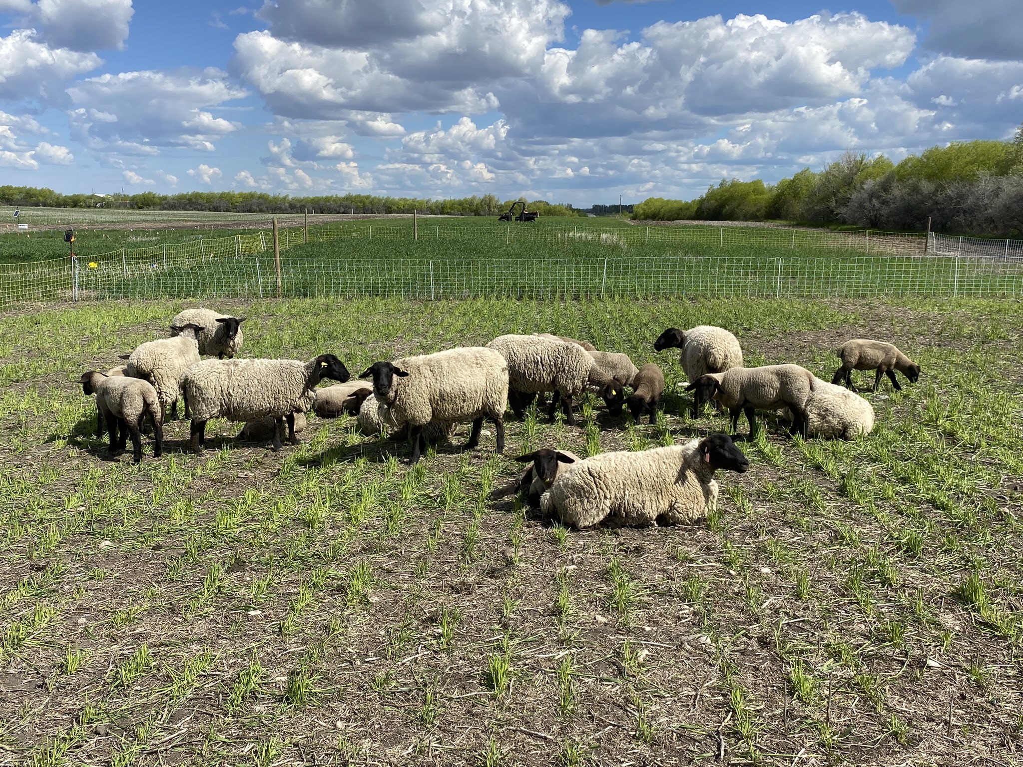 James Frey on Twitter: