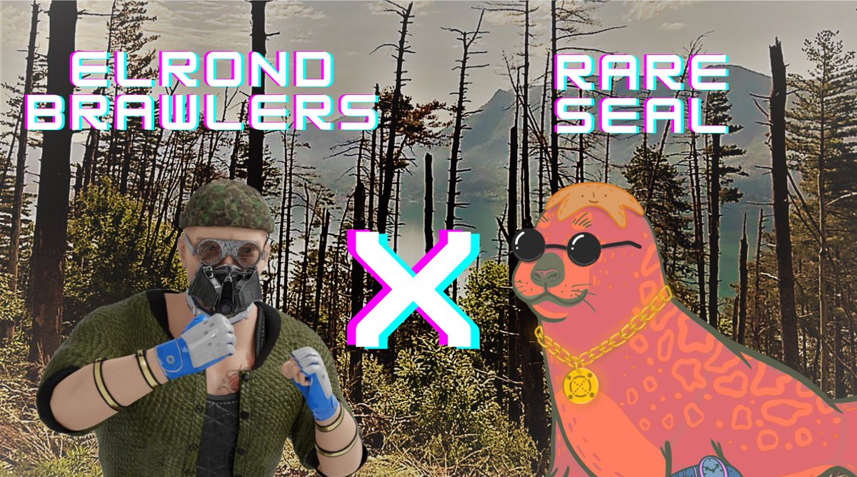 RareSealClub ⚡ PRESALE SOLD OUT tweet media