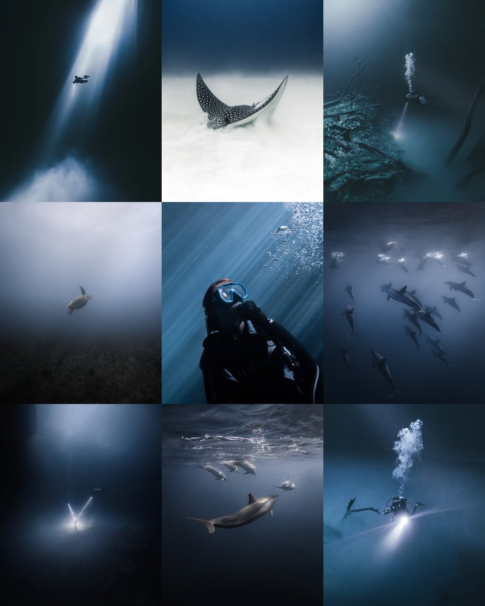 Happy World Ocean‘s Day 🤿

I‘m incredible grateful every day to be able to pursue my greatest passion and explore the deep blue.

Big thank you for my collectors who believe in me and my work! ♡