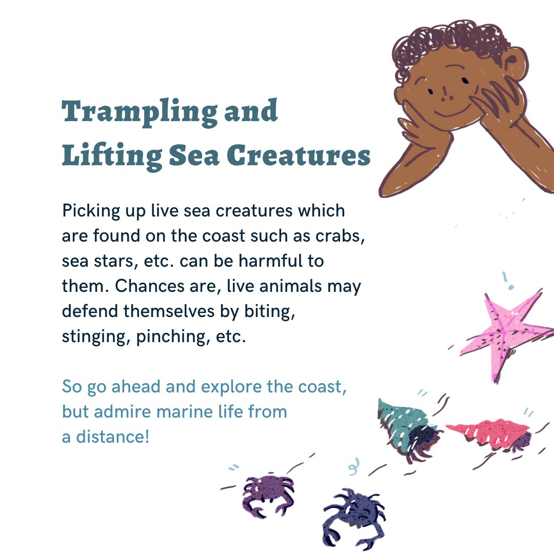 Dakshin Foundation tweet media