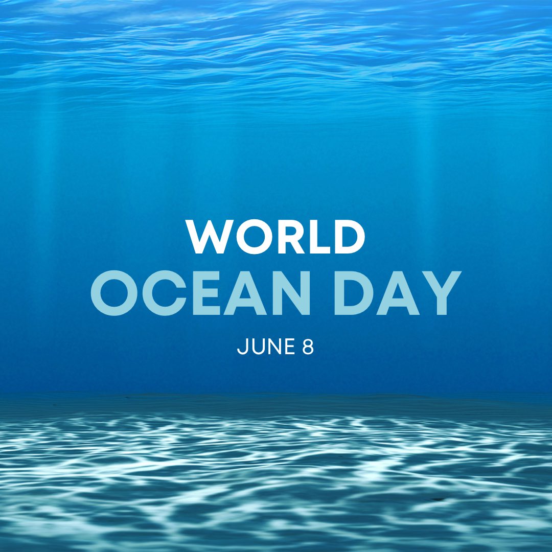 Jennifer Henry Horowitz tweet media