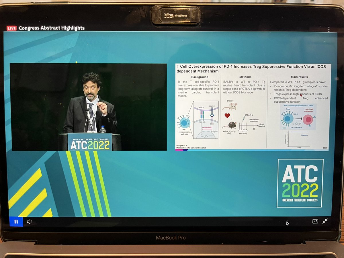 Thiago J Borges, PhD tweet media