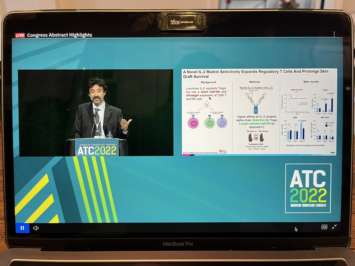 Thiago J Borges, PhD tweet media