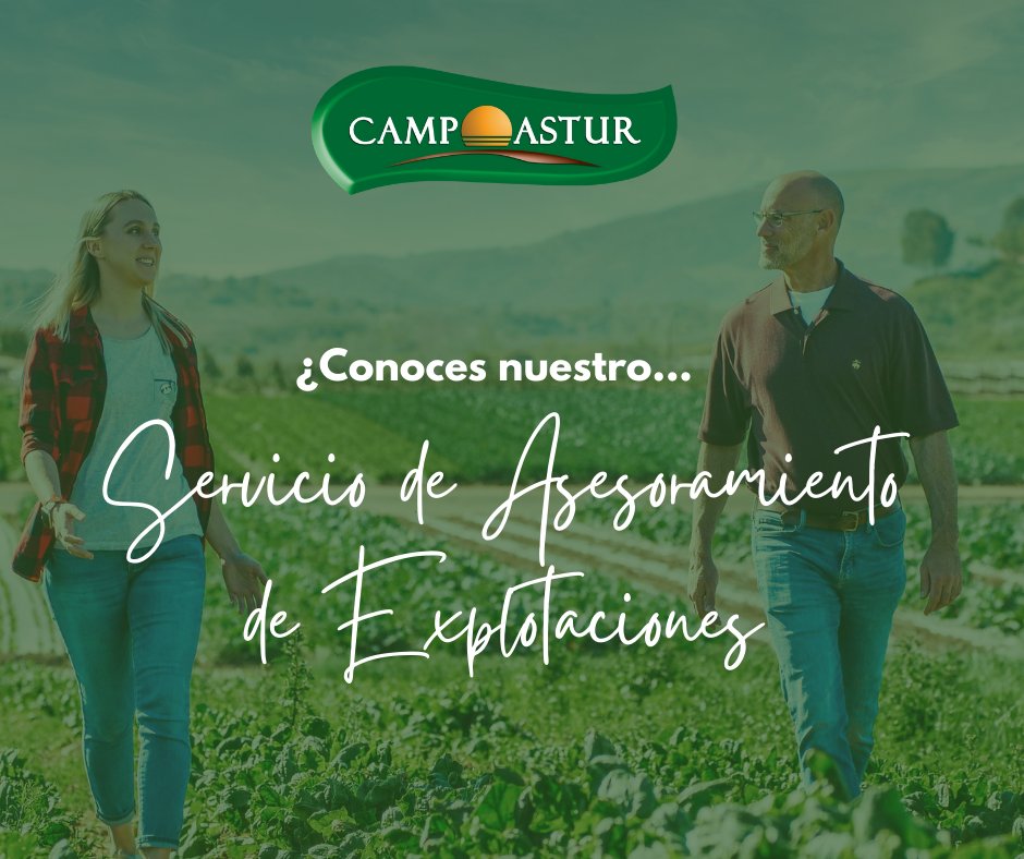El servicio de Asesoramiento de Explotaciones que ofrecemos en Campoastur se desarrolla tanto por técnicos de producción animal como por los de producción vegetal.
Si estás interesado en este servicio o necesitas más información no dudes en ponerte en contacto con nosotros.