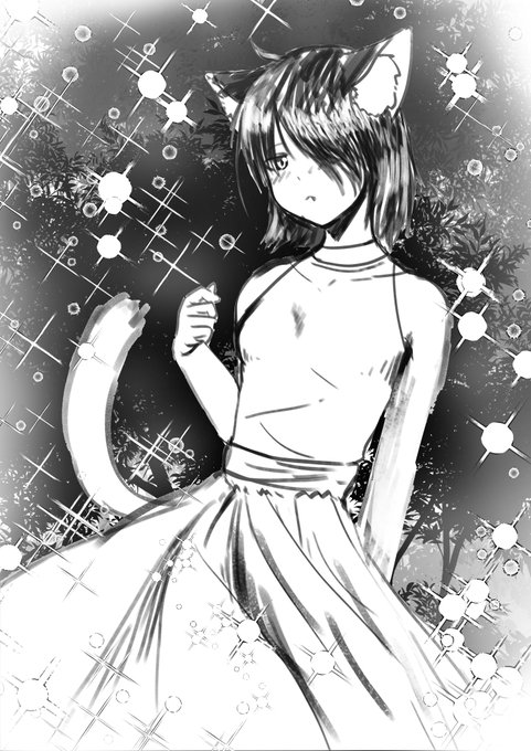 新しい素材テスト猫rkgk 