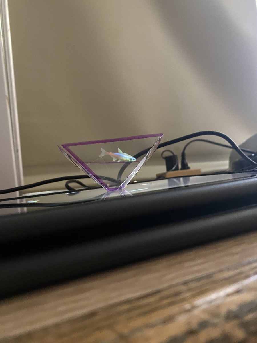 MrsCocozzaReads's tweet image. #giveahoot for our @WaverlyParkElem fifth graders who created and marveled at some 3D cones today! #steam