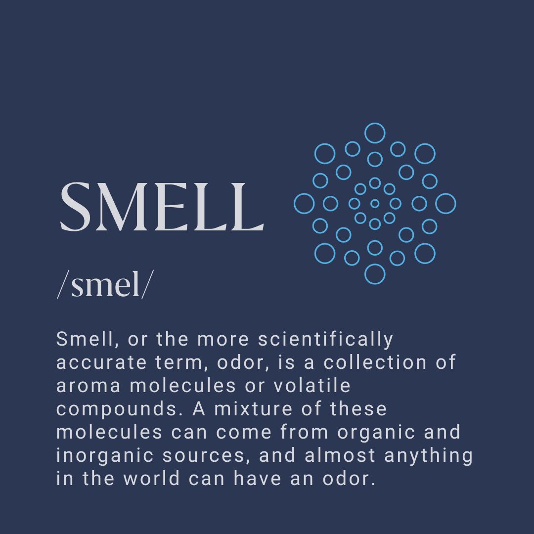OVROmara's tweet photo. Smell is complex, and scent is our only sense directly connected to the emotion and memory section of our brain. To discover more on the power of scent, head to https://t.co/ktUrx6MSKH.
#VR #olfaction #powerofscent #ovrtechnology #immersion https://t.co/M3npy3NAxf