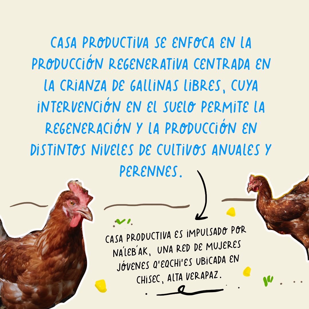 Trabajamos con emprendedorxs aportando a la gestación de modelos de negocio con impacto socioambiental. 

Acompañamos el diseño y la implementación de Casa Productiva, un centro de agricultura regenerativa centrada en aves como modelo de negocio, impulsado por Na'leb'ak 🥚🍍🌿