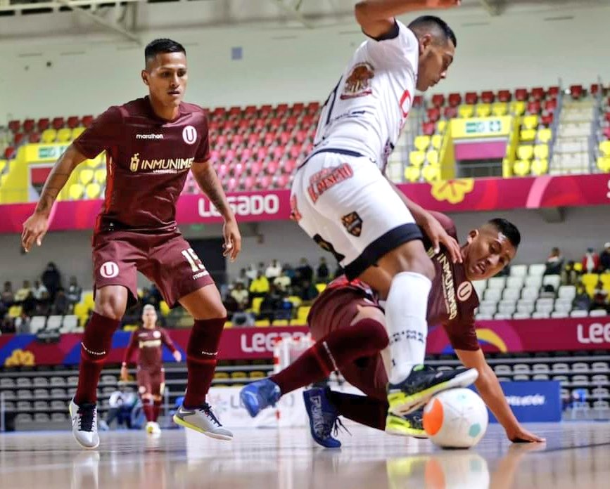 Perú Futsal tweet media