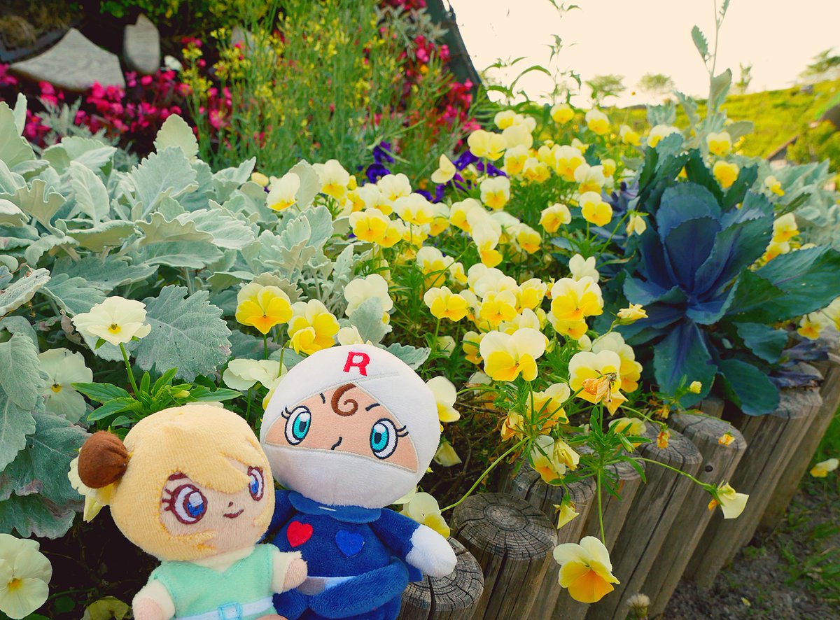 nP💥低浮上 tweet media