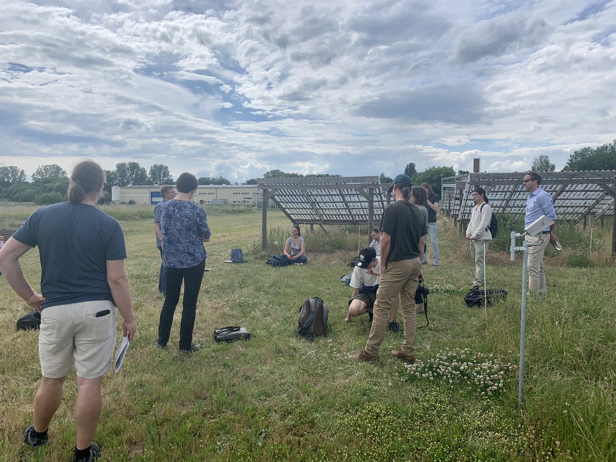 VVandvik's tweet photo. … not much beats seeing ecological experiments in the wild. And #BadLauchstädt is just crazy! @DroughtNet @NutNetGlobal @idiv Ecothron #GrENE-Net #MyDiv @UFZ_GCEF and of course the classic permanent fertilization experiment https://t.co/t0CAAHLaxV