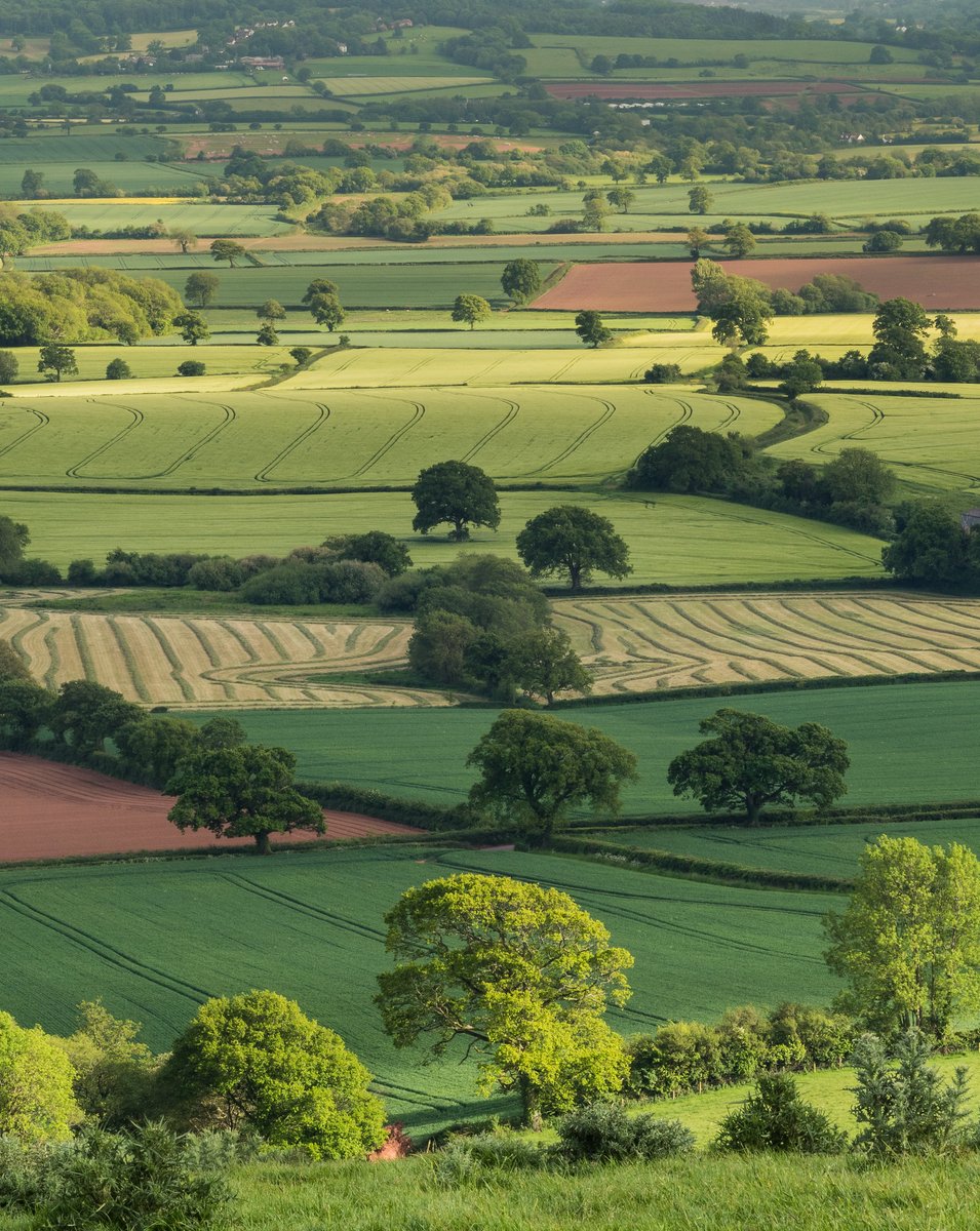 thank you earth for these shades of green.
