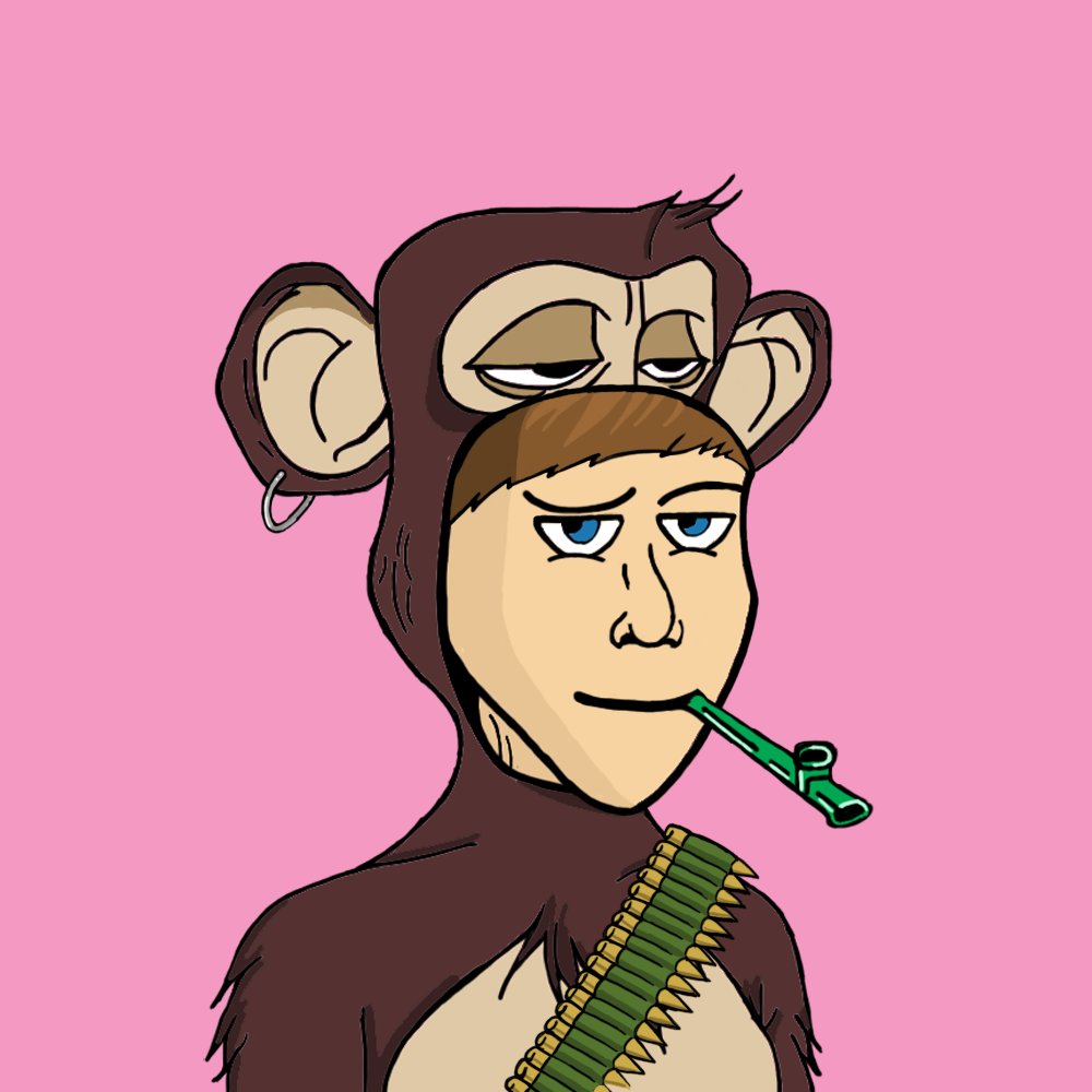 Fake Ape Yacht Club tweet media