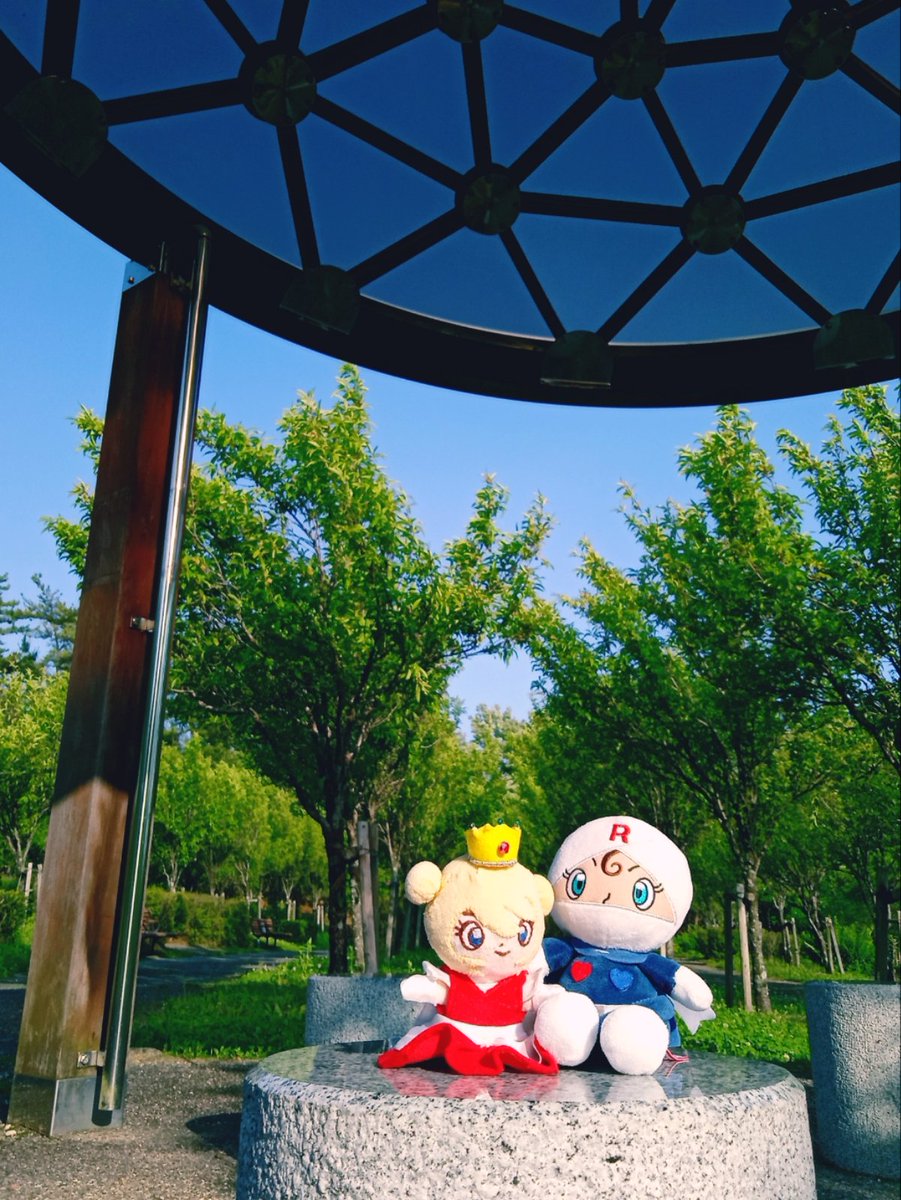 nP💥低浮上 tweet media