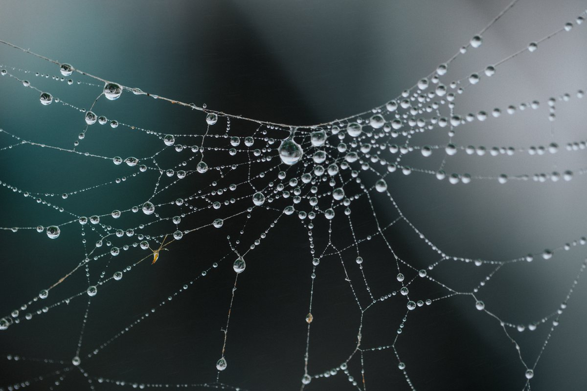 iDoRecall's tweet photo. Making connections between learned concepts helps reinforce your ability to recall that knowledge at a later date! #memorypalace #idorecall #flippingforidr #webofknowledge #itsallconnected

https://t.co/ODS8RkqE2T https://t.co/EHUbj0J36M