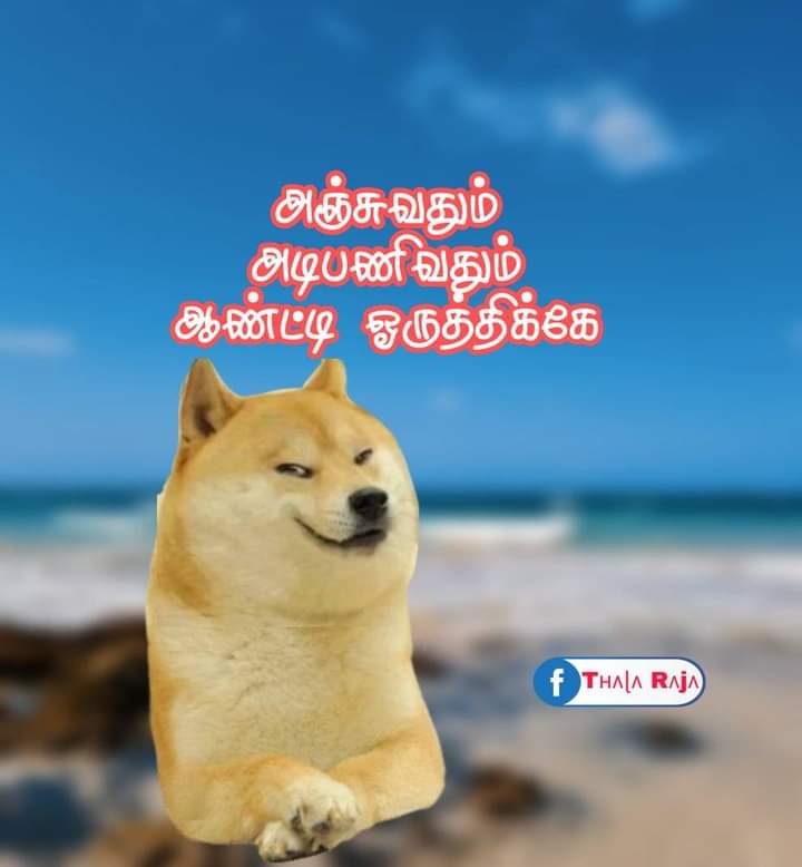 Yellove Jude tweet media