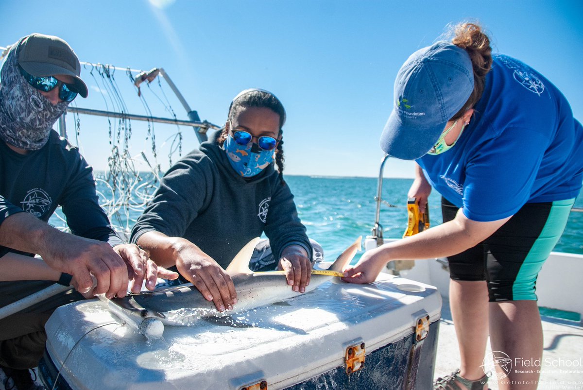 Amani Webber-Schultz tweet media