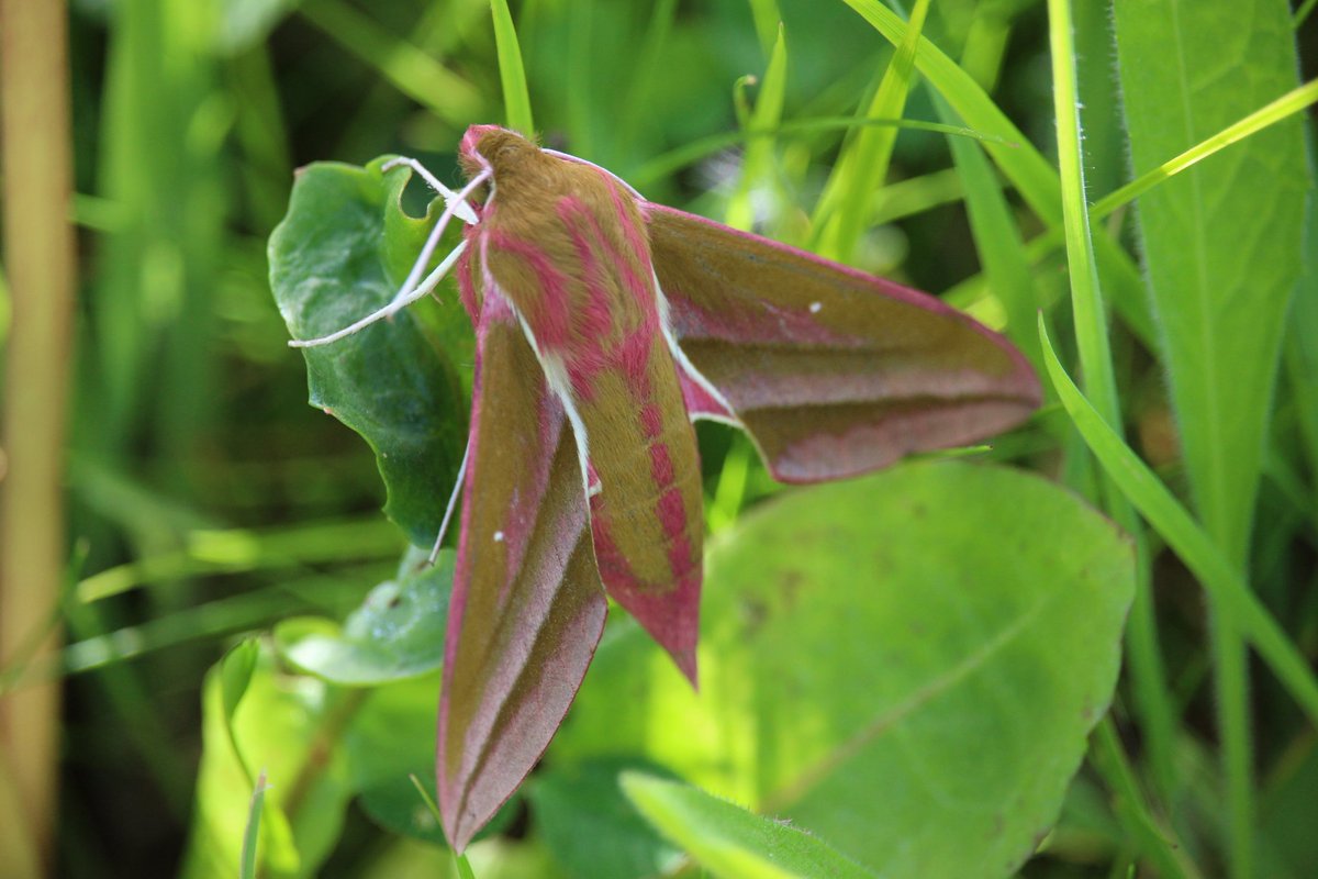 @SWTCLUN tweet media