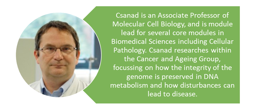Let us introduce you to Dr Csanad Bachrati #UoLTeamBiomed #BiomedicalScienceDay2022 #AtTheHeartofHealthcare <a href="/IBMScience/">IBMS #AtTheHeartOfHealthcare</a> #Ageing