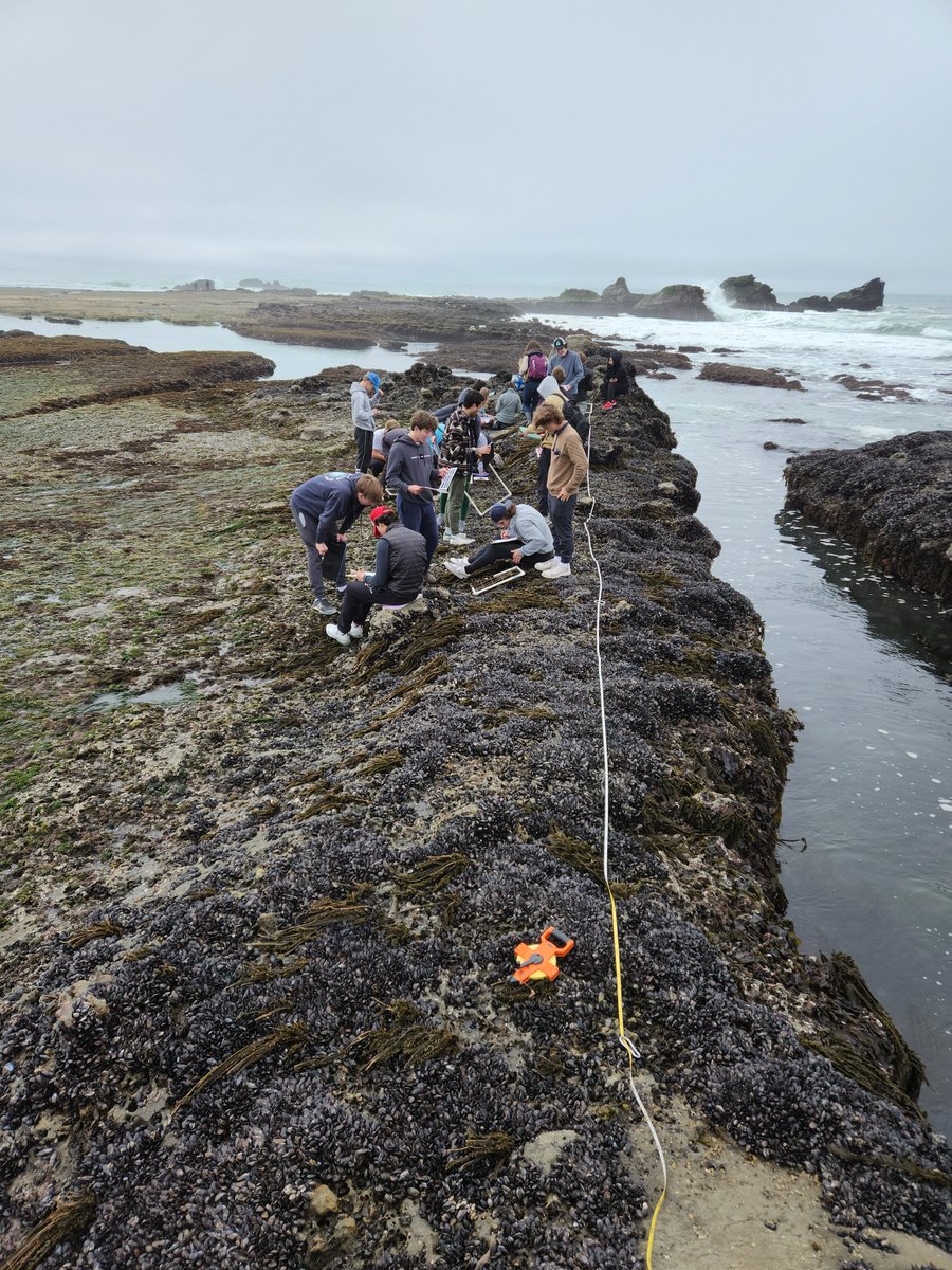 limpetsnews's tweet image. Happy #WorldOceanDay2022!🌊#LiMPETS students enjoy the ocean by collecting data in rocky intertidal &amp;amp; sandy beach habitats. Data collected assists in tracking ecosystem changes &amp;amp; health. #EarthIsBlue #ILoveMySanctuary #CommunityScience
@FarallonesNews @NOAA_CINMS @MBNMS @GFNMS