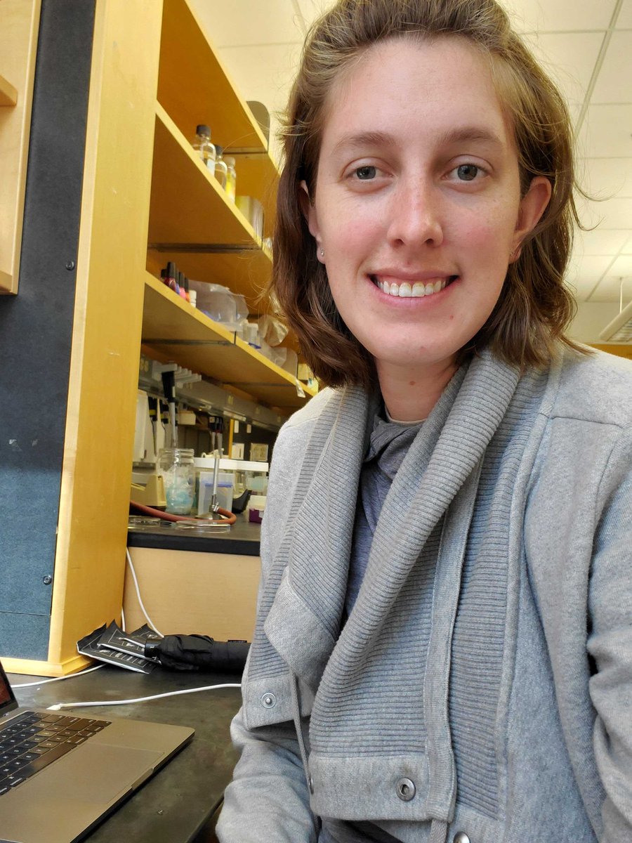 Duke University Postdoc Association (@dukepostdocs) on Twitter photo Our DUPA Prof Dev chair <a href="/drsusanna1/">Susanna Brantley</a> in the @ditalialab was awarded an #F32 from NIGMS to study the dynamics of BMP signaling in early embryogenesis. Congrats to all our Duke F32 awardees! Our DUPA Prof Dev chair <a href="/drsusanna1/">Susanna Brantley</a> in the @ditalialab was awarded an #F32 from NIGMS to study the dynamics of BMP signaling in early embryogenesis. Congrats to all our Duke F32 awardees!