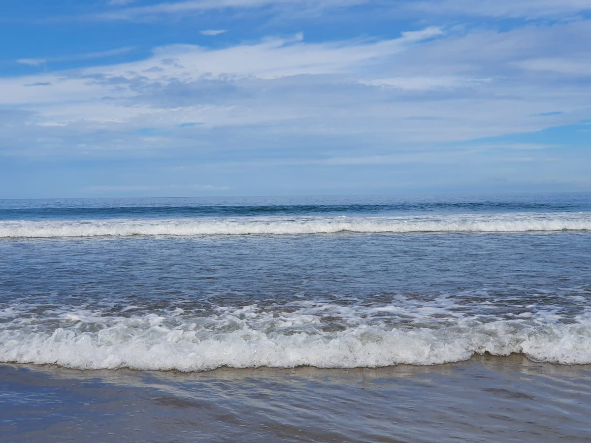 ReservasMarinas's tweet photo. El océano representa más del 70% del planeta.
Es nuestra fuente de vida, sustento de la humanidad y de todos los demás organismos de la 🌍, por eso todos debemos aportar nuestro granito de arena.
Proteger el #océano🌊es proteger la salud del planeta🌍
#DiaMundialdelosOcéanos💙 https://t.co/mpaa1DA63E