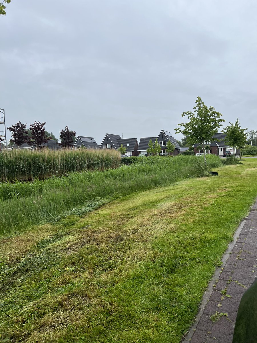 Bert_win's tweet photo. @Gemeente_Lwd kunnen jullie vragen of de bestuurder van de #maaimachine een mes is verloren bij #itfjild #grou? Fijn als het wordt afgemaakt. We hebben een proefstukje gemaakt zoals het voorheen perfect #gemaaid werd door @Empatec @De_Grouster #helftvergeten https://t.co/s0ao2MWCke