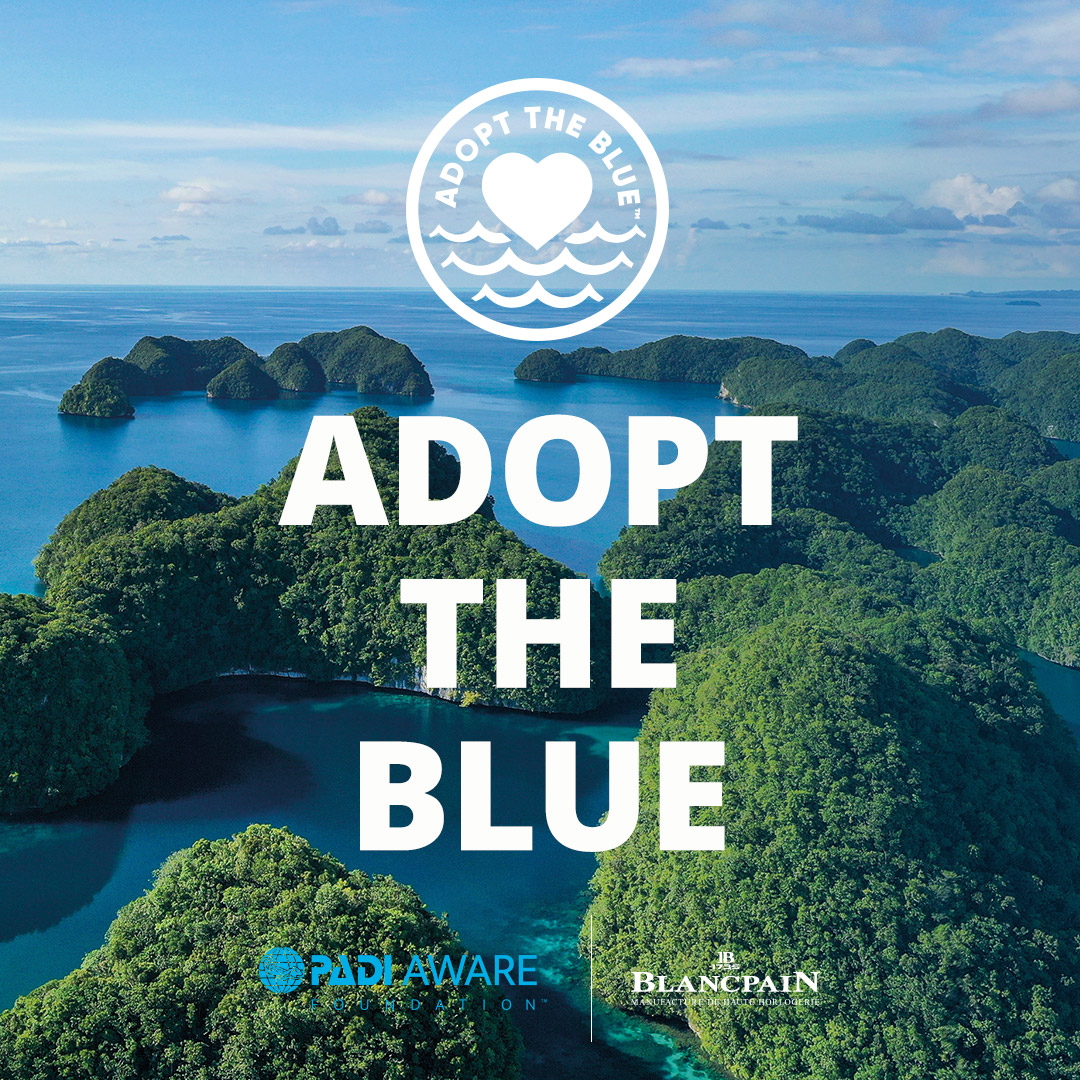 padiaware's tweet photo. This #WorldOceansDay, we're proud to announce the launch of ADOPT THE BLUE. 💙

In partnership with @Blancpain1735, our goal is to increase the number of Marine Protected Areas around the globe over the next decade. Get involved → https://t.co/iykQDkUqi6 #AdoptTheBlue @padiaware https://t.co/r4NWSnG5OJ